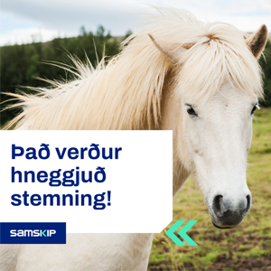 Samskip Pollamót