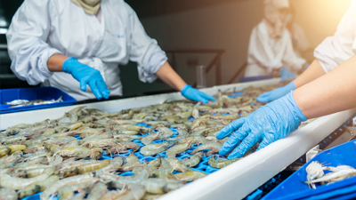 kubbur_sjavarutvegur